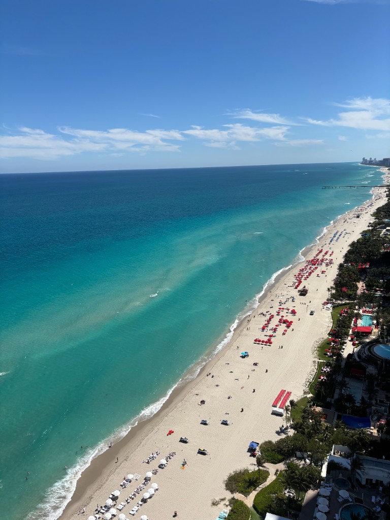 Aerial beach with umbrellas along the shore