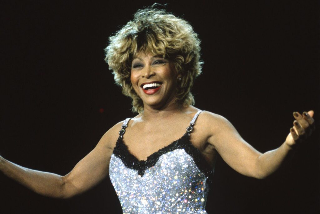 tina turner 04 0524 dd382072336c4224a5be15bdc7449f0f