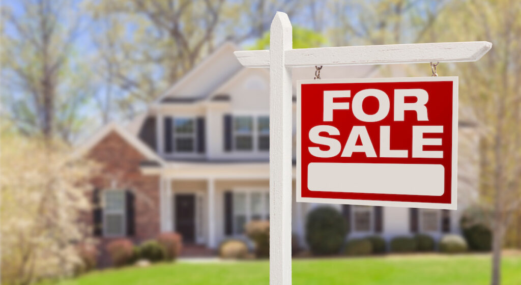 24552400 l normal none m3TZwX5