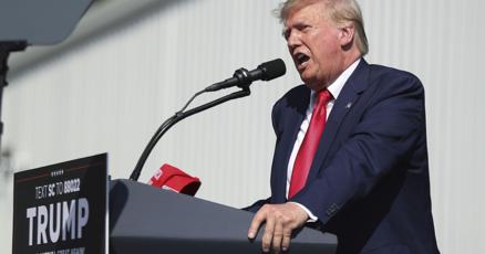 6513413f997ee.preview