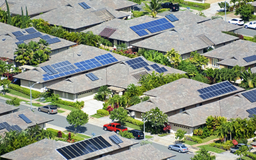 Greenprint Stock 19 800