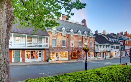 TAL princeton LIVENJ1023 a2526294e75e44e8a669fd196ecd2ff8