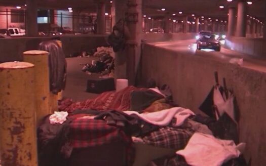 preckwinkle homelessness