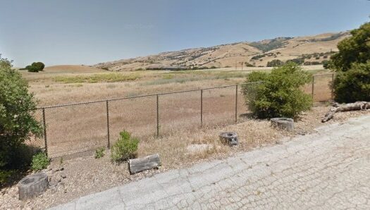 SJM L SJSLANDBUY x 01 1