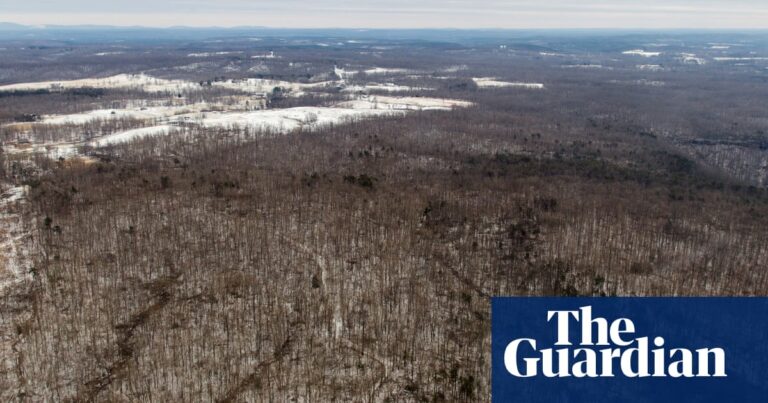 Revealed: far-right figures try to create white nationalist ‘haven’ in Kentucky 6 Revealed: far-right figures try to create white nationalist ‘haven’ in Kentucky