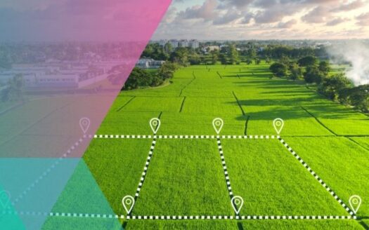 Land Zoning & Development Projects: Charting the Future of Florida Keys