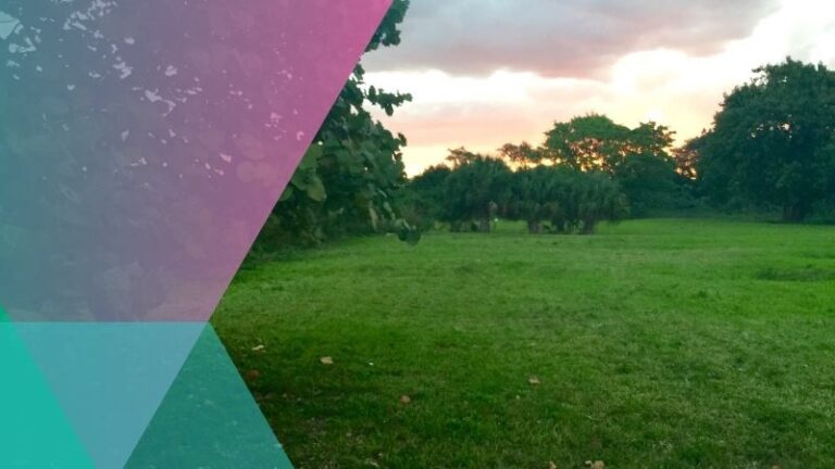 What happens when there’s no empty land for sale left to build in South Florida? 3 What happens when there’s no empty land for sale left to build in South Florida?