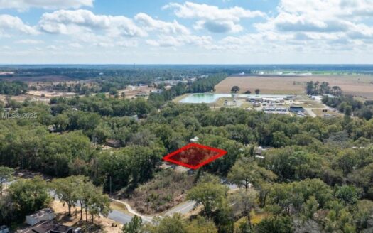 0.24 Acre Residential Lot For Sale in Ocala FL