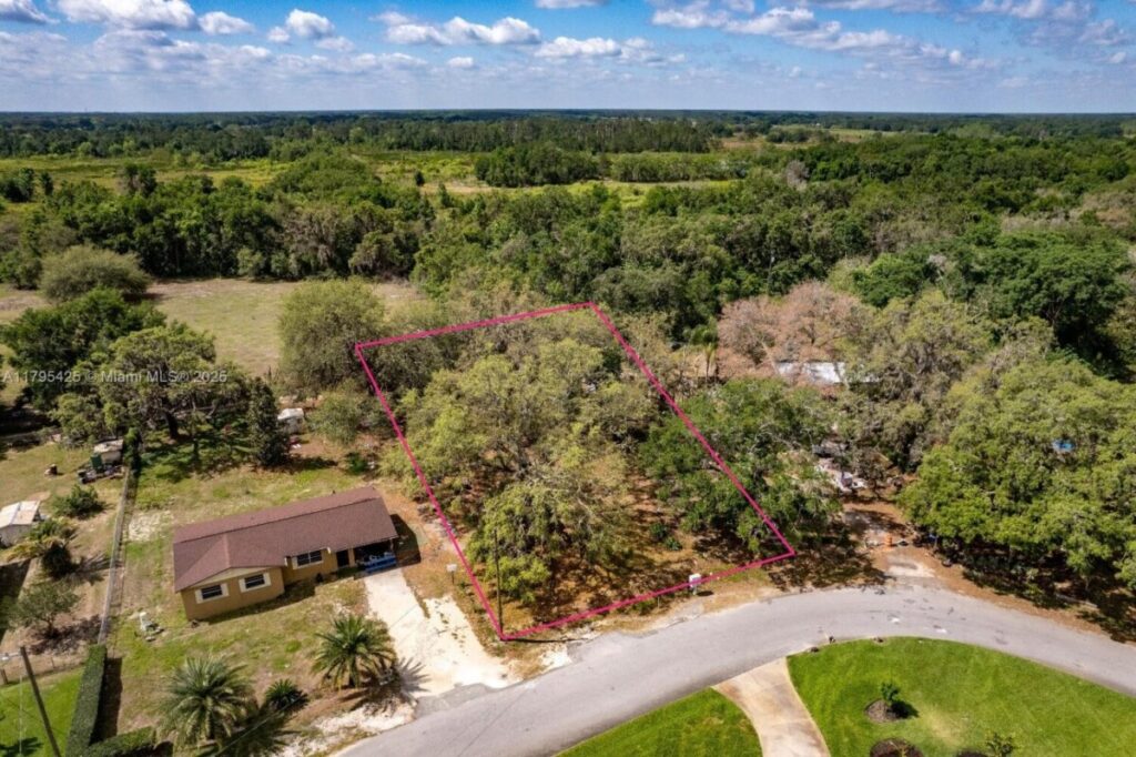 Closed Deal 2025:just sold dry buildable lot in Groveland, Florida! 7 Maxwell closing
