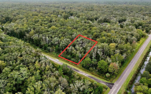 2025 Closed Deal:over 1 acre vacant land for $12,500!! 18 image