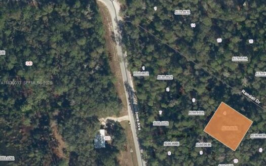 Closed Deal 2026: seller financed vacant lot closed at $8000 in Satsuma!!